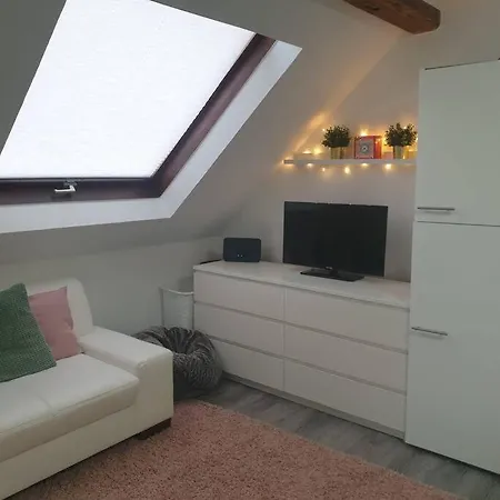 Obere Dorfstrasse Apartment